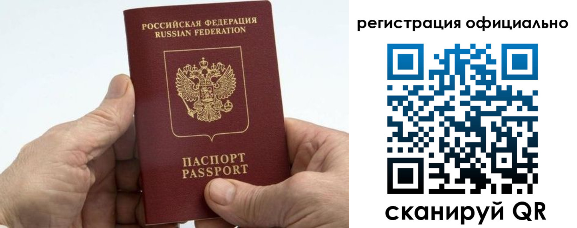 купить прописку в Сельцо